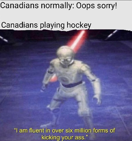 Canadians normally: Oops sorry! Canadians playing hockey “Гат fluent in over six million forms of kicking your ass.”