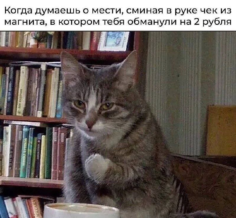 Когда думаешь о мести, сминая в руке чек из магнита, в котором тебя обманули на 2 рубля