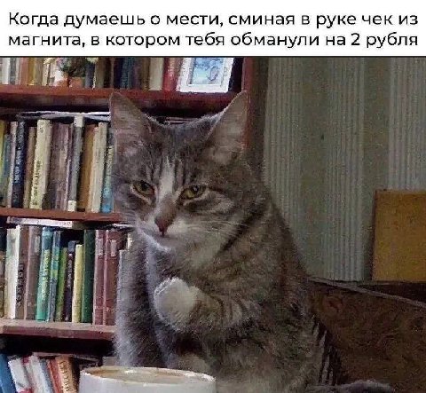 Когда думаешь о мести, сминая в руке чек из магнита, в котором тебя обманули на 2 рубля