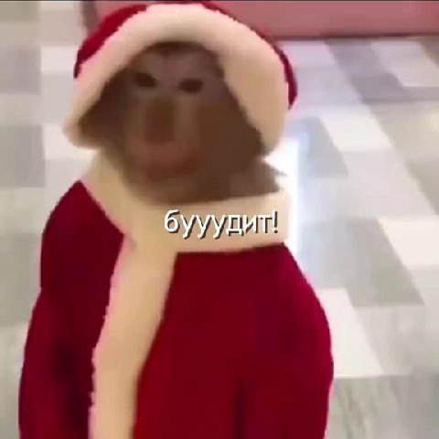 AEEBa Ona будит — AOBaBaOTAa ни будит _ В бууудии
