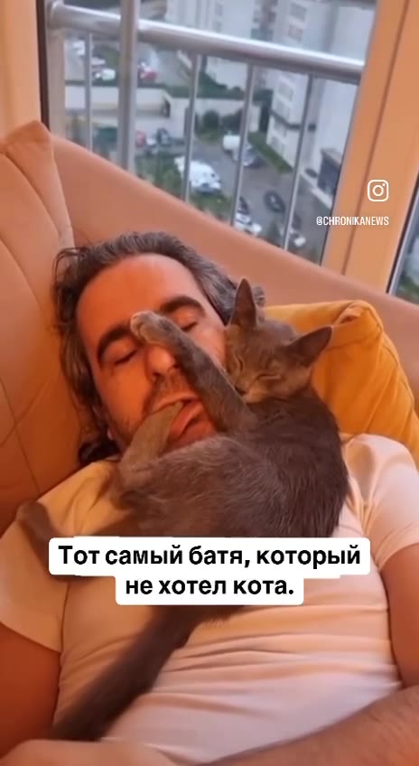 Тот самый батя, который не хотел кота.