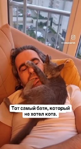 Тот самый батя, который не хотел кота.