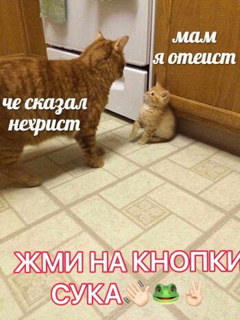 че сказал #3