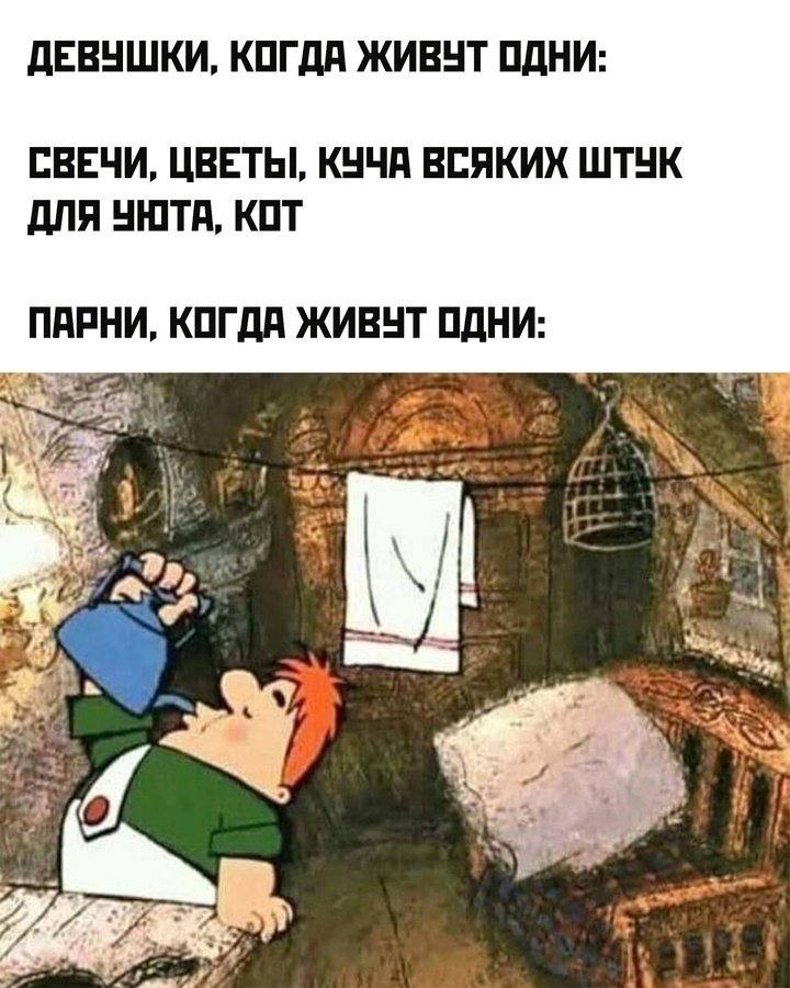 ДЕВУШКИ, КОГДА ЖИВУТ ОДНИ: СВЕЧИ, ЦВЕТЫ, КУЧА ВСЯКИХ ШТУК ДЛЯ УЮТА, КОТ ПАРНИ, КОГДА ЖИВУТ ОДНИ: con: a a 4 i 1