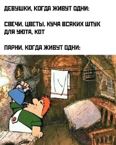 ДЕВУШКИ, КОГДА ЖИВУТ ОДНИ: СВЕЧИ, ЦВЕТЫ, КУЧА ВСЯКИХ ШТУК ДЛЯ УЮТА, КОТ ПАРНИ, КОГДА ЖИВУТ ОДНИ: con: a a 4 i 1