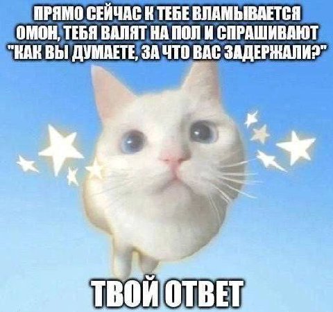ПРЯМО СЕЙЧАС К BARA] НАПОЛИ СПРАШИВАЮТ "КАК ВЫ ЧТО ВАС