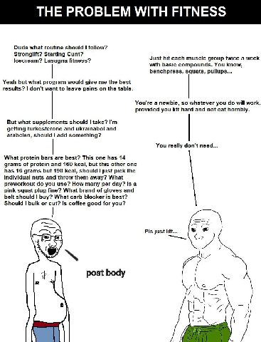 Dude what routine should follow? Stronglift? Starting Cunt? Icecream? Lasagna fitness? Just hit each muscle group twice a week with basic compounds. You know, benchpress, squats, pullups... Yeah but w
