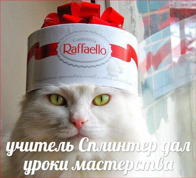 aello уроки