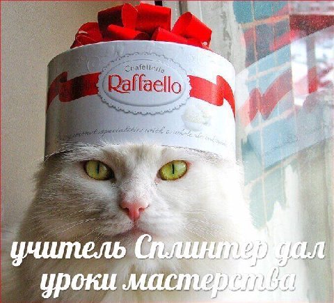 aello уроки