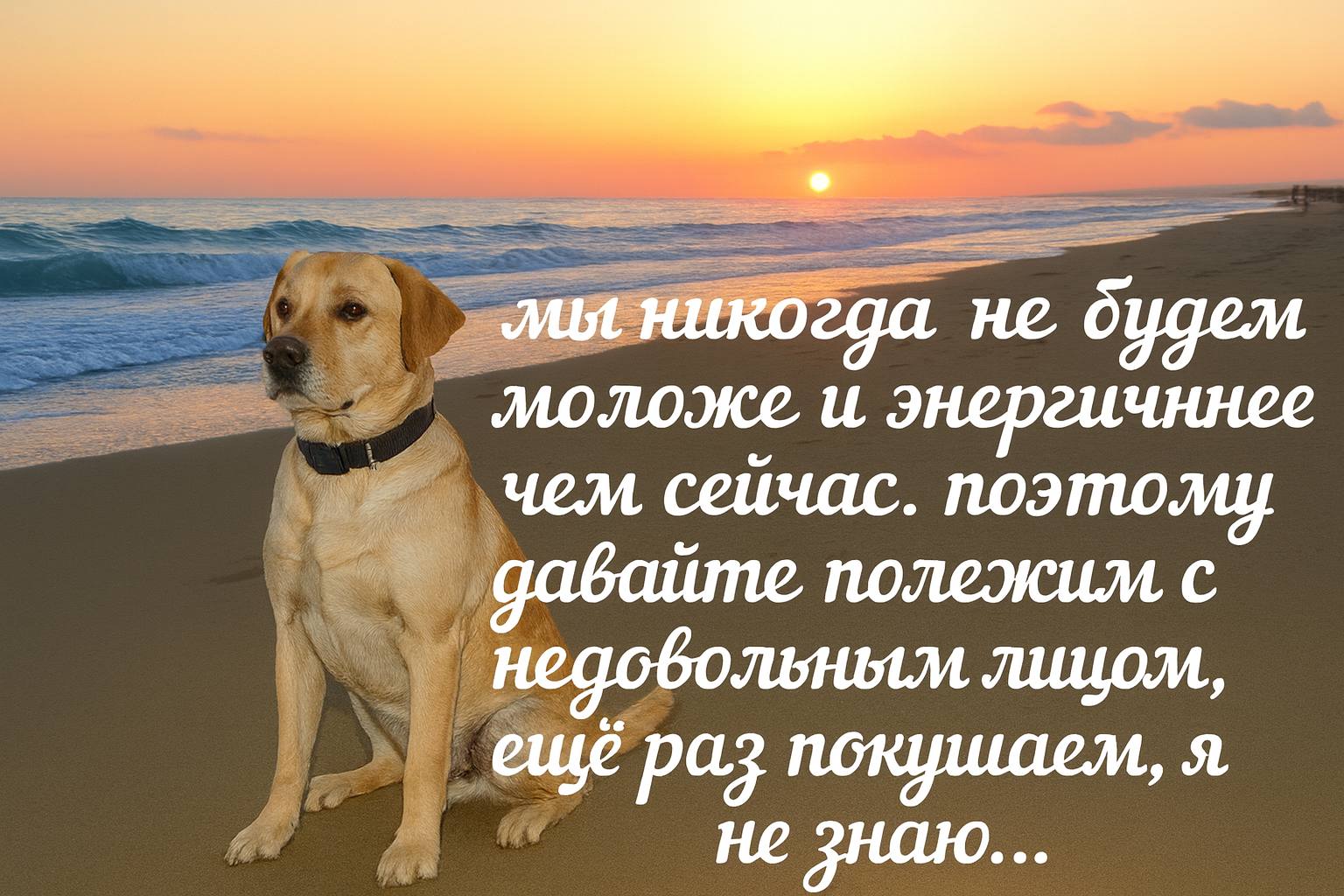 мы никогда не будем моложе и энергичннее чем сейчас. поэтому с давайте. ешё раз покушаем, я не знаю...