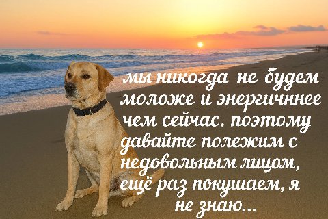 мы никогда не будем моложе и энергичннее чем сейчас. поэтому с давайте. ешё раз покушаем, я не знаю...