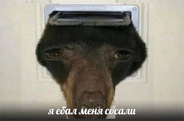 у i A 1 я ебал меня сосали