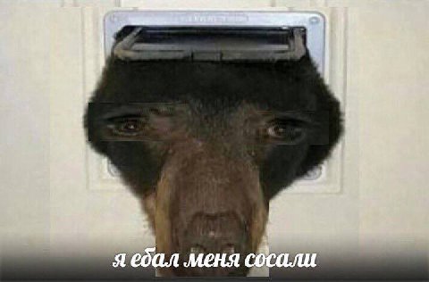 у i A 1 я ебал меня сосали