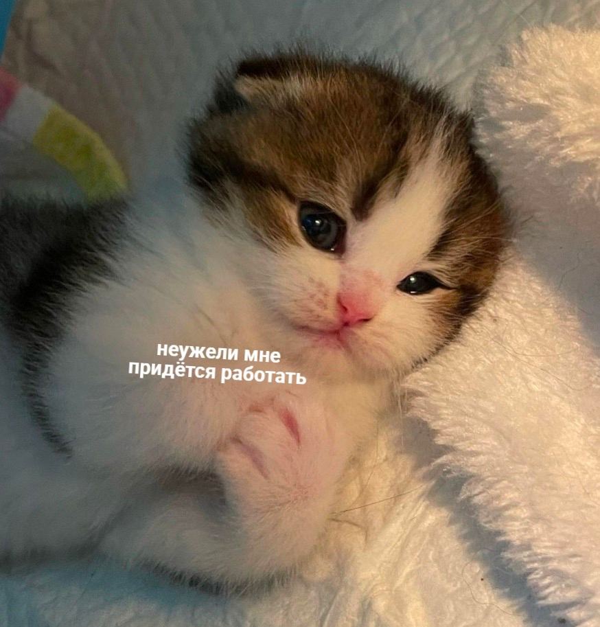 неужели мне придётся работать