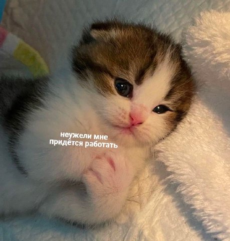 неужели мне придётся работать