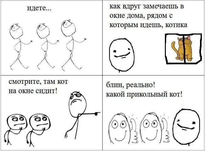 идете как вдруг замечаешь в окне дома, рядом с которым идешь, котика смотрите, там кот блин, реально! на окне сидит! какой прикольный кот! [99