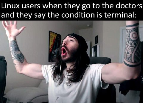 Linux users when they to the doctors and they say the condition is terminal: