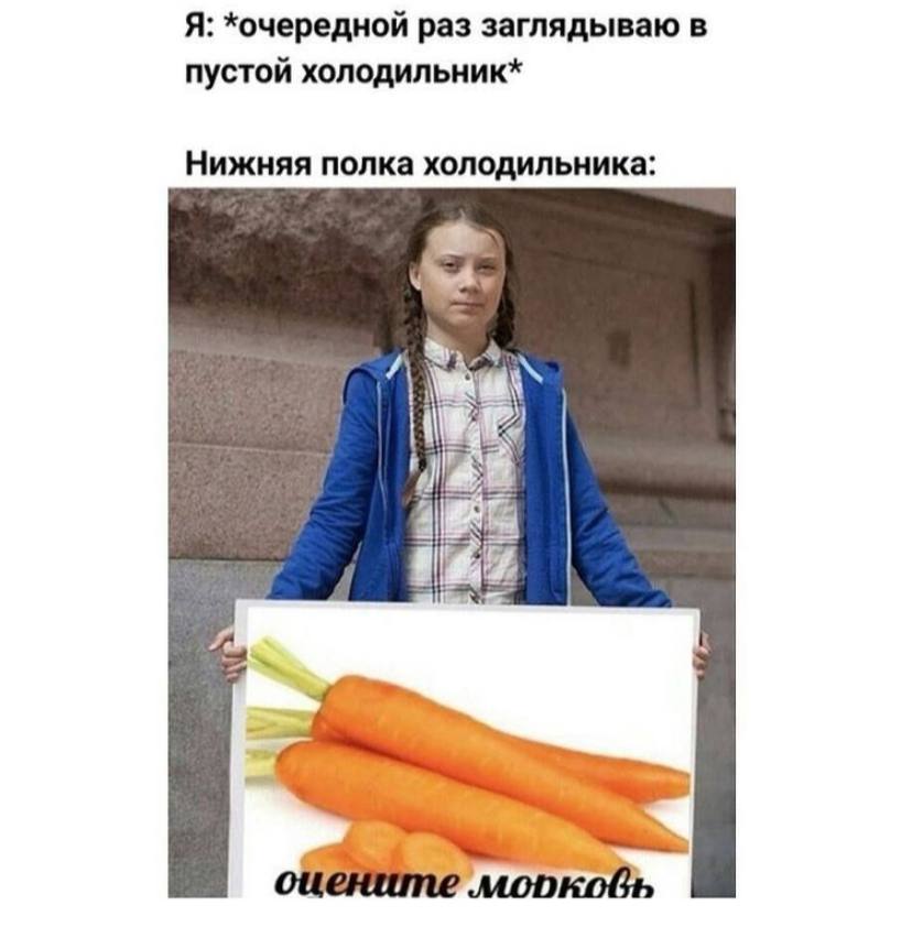 Я: *очередной раз заглядываю в пустой холодильник* Нижняя полка холодильника 4 0