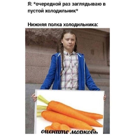 Я: *очередной раз заглядываю в пустой холодильник* Нижняя полка холодильника 4 0