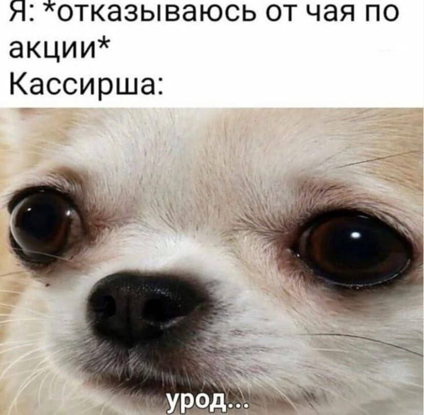 я: хотказываюсь от чая по акции* Кассирша: урод...