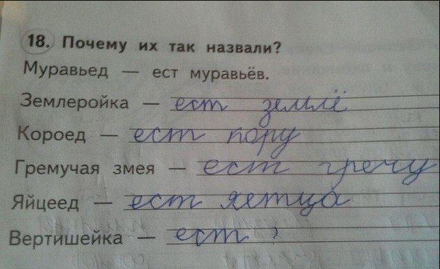 Почему так назвали? Муравьед ест муравьёв. Короед Гремучая змея Яйцеед