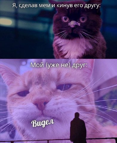 Я, сделав мем и кинув его другу: Мой (уже не) друг: Видел