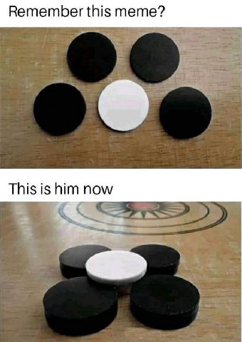 Remember this тете? This is him now