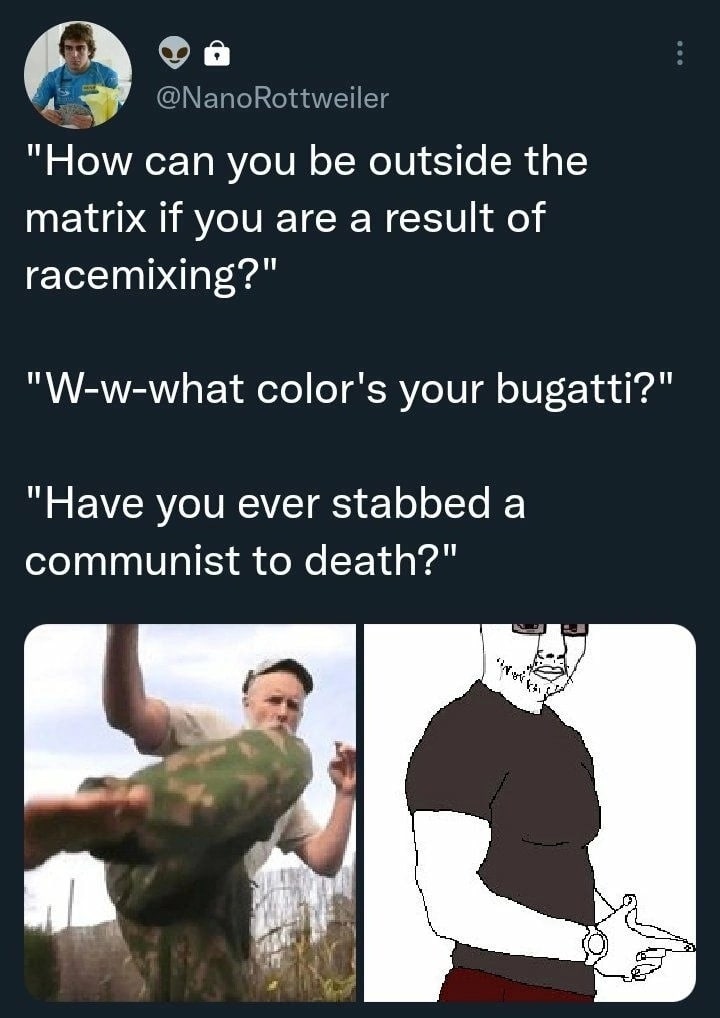 @NanoRottweiler “How can you be outside the matrix if you are a result of racemixing?" "W-w-what color's your bugatti?" “Have you ever stabbed a communist to death?"