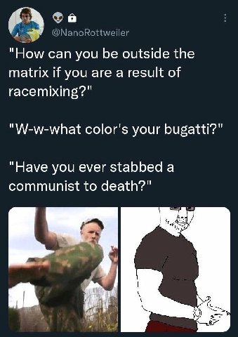 @NanoRottweiler “How can you be outside the matrix if you are a result of racemixing?" "W-w-what color's your bugatti?" “Have you ever stabbed a communist to death?"