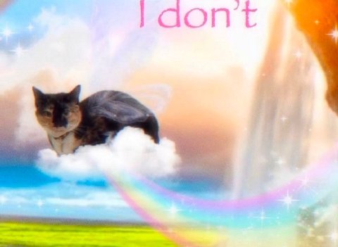 l}dont \ x, — a 7
