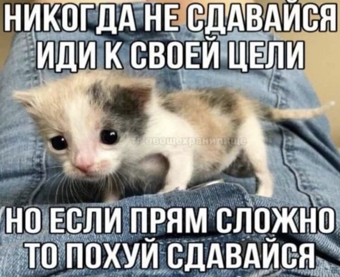 НИКОГДА НЕ СДАВАИСЯ ИДИ К СВОЕЙ ЦЕЛИ НО ЕСЛИ ПРЯМ СЛОЖНО ТО ПОХУЙ СДАВАЙСЯ