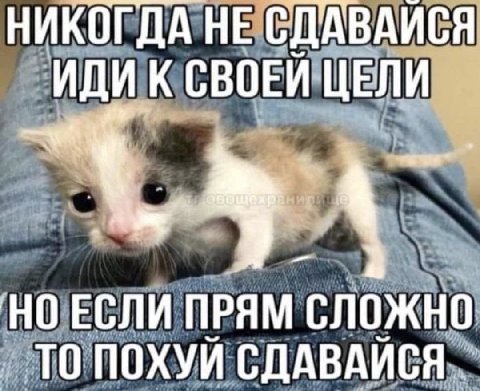 НИКОГДА НЕ СДАВАИСЯ ИДИ К СВОЕЙ ЦЕЛИ НО ЕСЛИ ПРЯМ СЛОЖНО ТО ПОХУЙ СДАВАЙСЯ