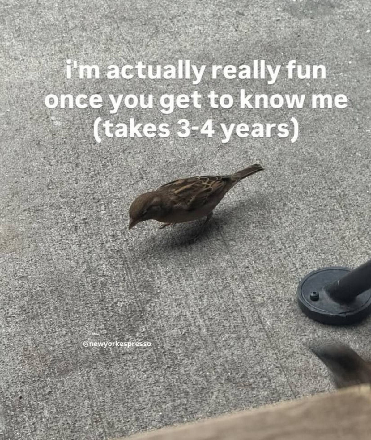 actually really once you get to know me