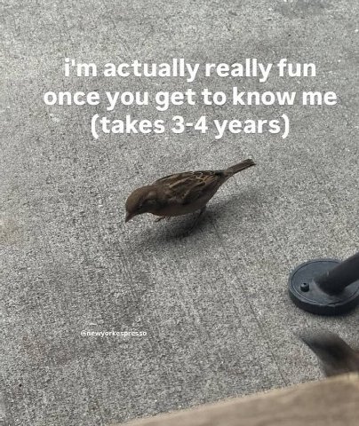 actually really once you get to know me