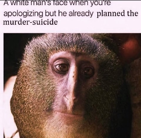 A white mans тасе youre apologizing but he already planned the murder-suicide Yer