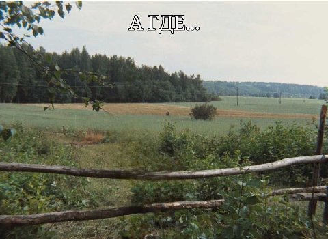 ооо