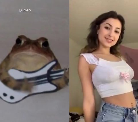 мем