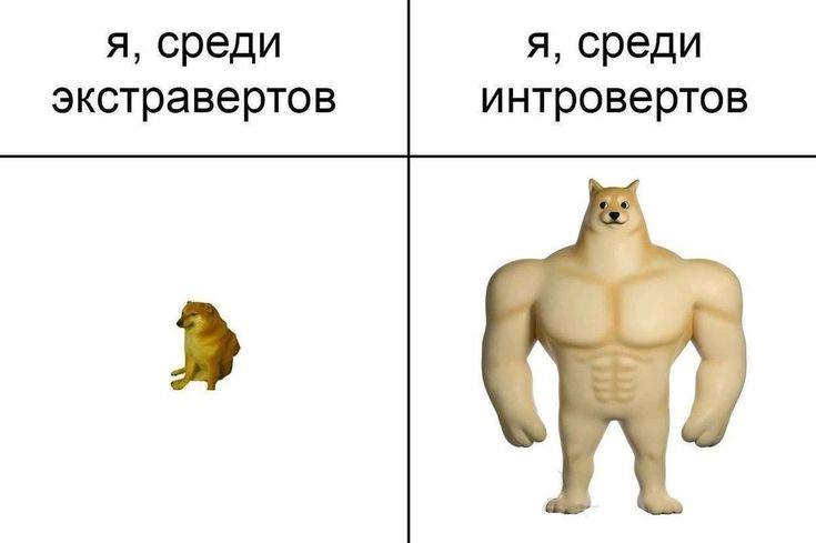 я, среди я, среди экстравертов интровертов