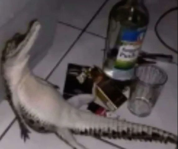 another actor ruined by drugs and alcohol....