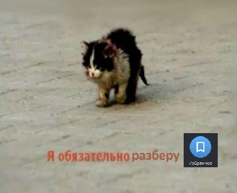Избранное