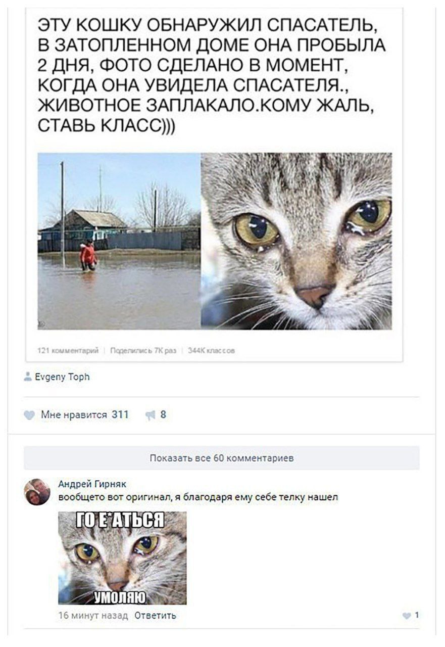 ЭТУ КОШКУ ОБНАРУЖИЛ СПАСАТЕЛЬ, В ЗАТОПЛЕННОМ ДОМЕ ОНА ПРОБЫЛА 2 ДНЯ, ФОТО СДЕЛАНО В МОМЕНТ, КОГДА ОНА УВИДЕЛА ЖИВОТНОЕ ЗАПЛАКАЛО.КОМУ ЖАЛЬ, СТАВЬ KJIACC))) у Evgeny Toph Мне нравится 311 8 Показать вс