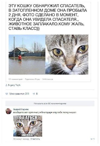ЭТУ КОШКУ ОБНАРУЖИЛ СПАСАТЕЛЬ, В ЗАТОПЛЕННОМ ДОМЕ ОНА ПРОБЫЛА 2 ДНЯ, ФОТО СДЕЛАНО В МОМЕНТ, КОГДА ОНА УВИДЕЛА ЖИВОТНОЕ ЗАПЛАКАЛО.КОМУ ЖАЛЬ, СТАВЬ KJIACC))) у Evgeny Toph Мне нравится 311 8 Показать вс