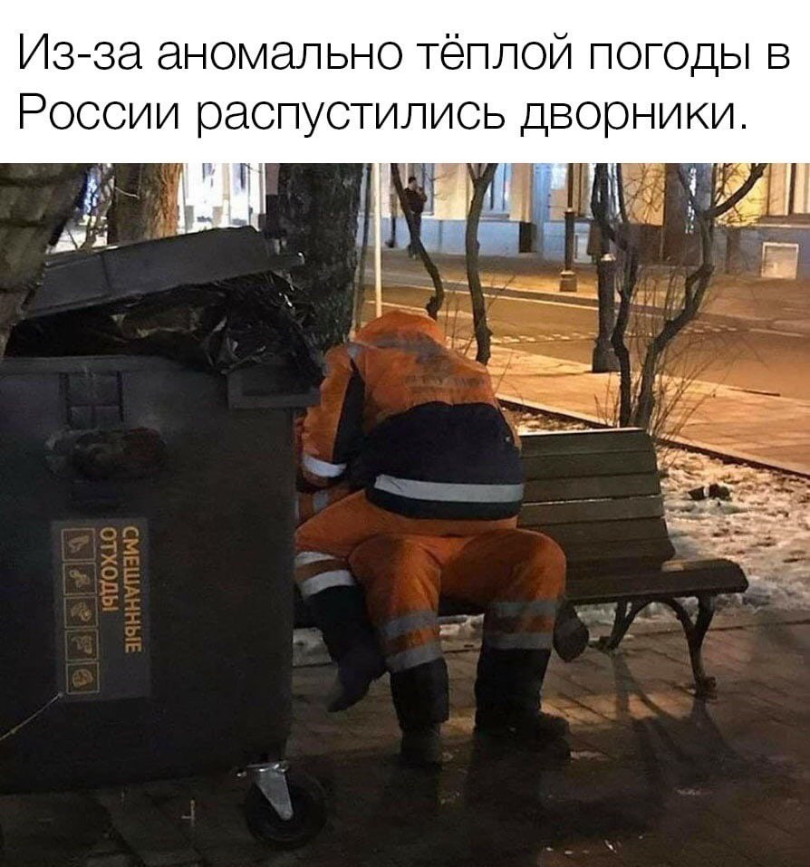 Из-за аномально тёплой погоды в России распустились дворники.