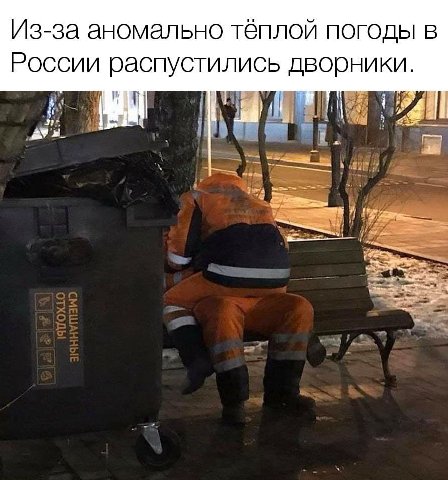 Из-за аномально тёплой погоды в России распустились дворники.