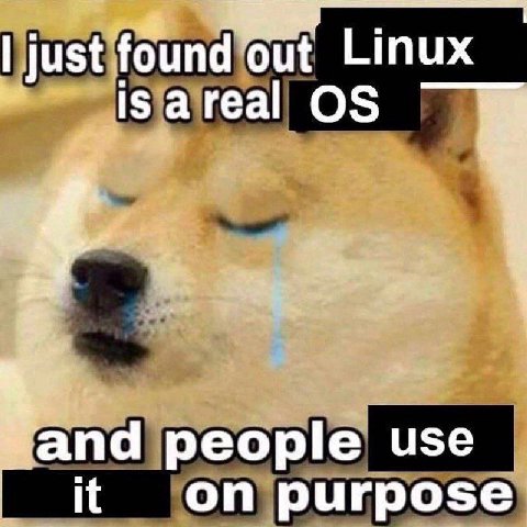 just found Linux isareal and people use It on purpose