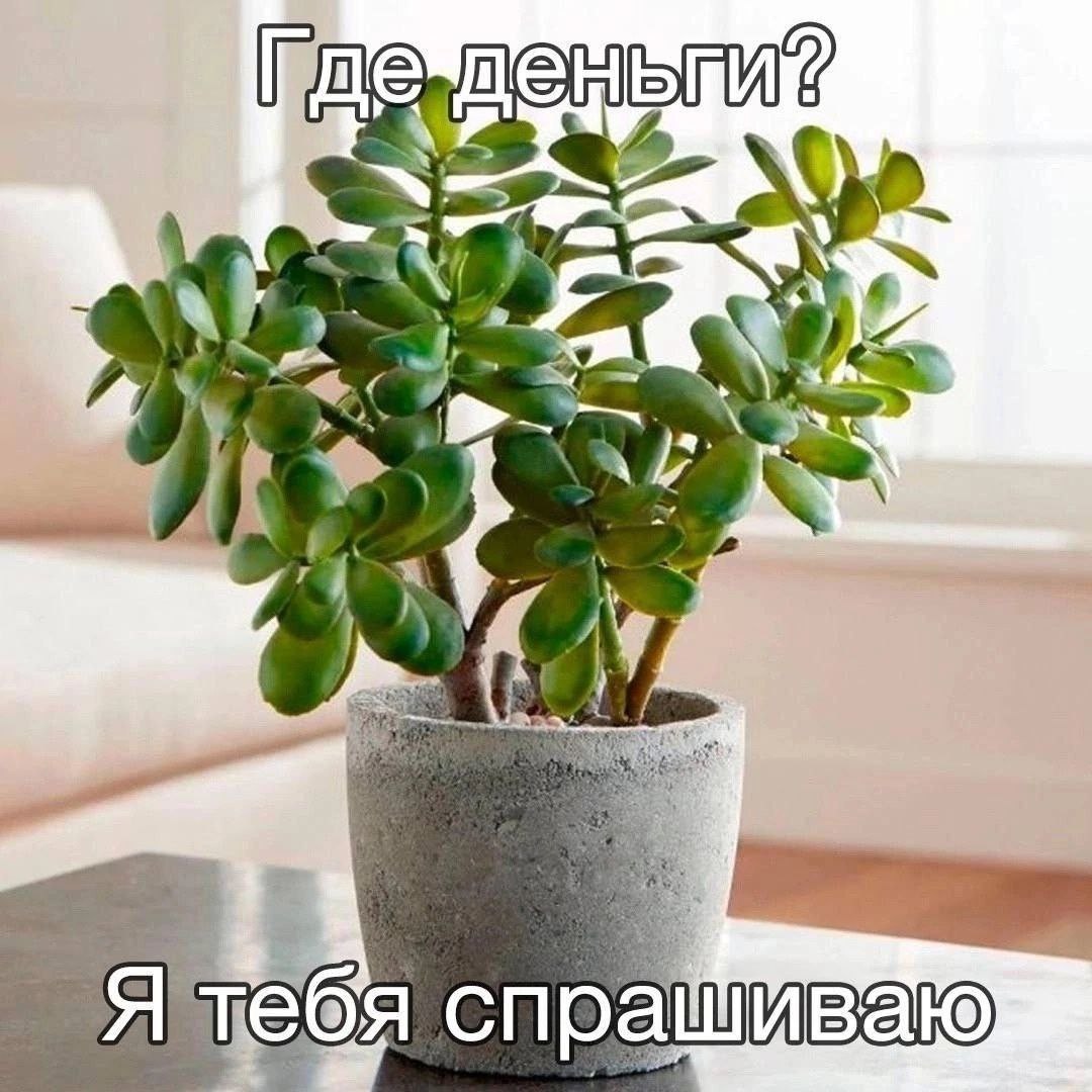 a7, a тебя спрашиваю)