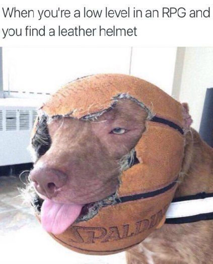 When you're a low level RPG and you find a leather helmet
