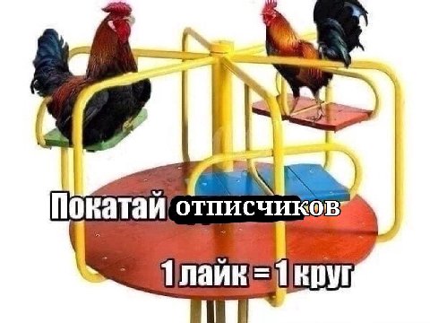 Покатай Тлайк