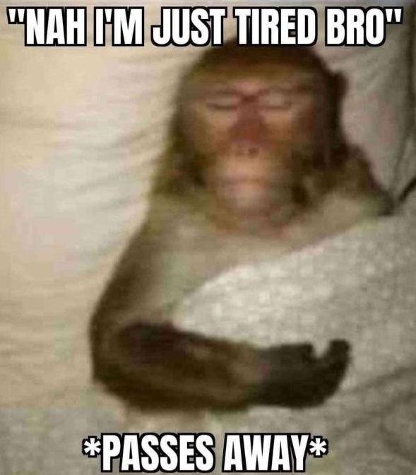 JUST TIRED BRO" *PASSES AWAY*