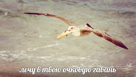 лечу 6 твою